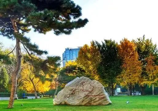 北理工“明理·精工”商领计划本批次申请收官在即，请扫码预约
