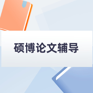 硕博论文辅导